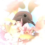 mourningdove's Avatar