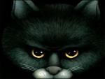 Sophie_Serendipity's Avatar