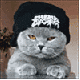 MC-lite's Avatar