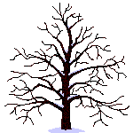 Tree GG's Avatar